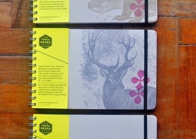 Animales 01