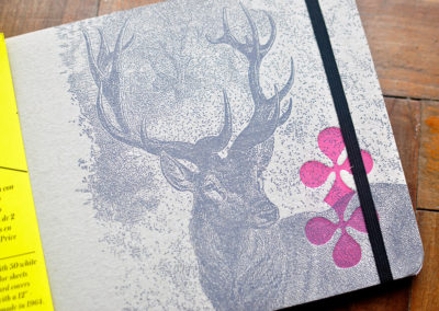 Animales 05