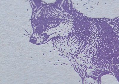Animales 10