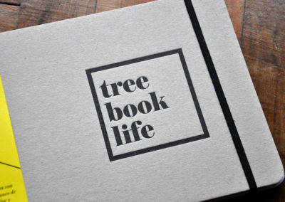 simple life 11