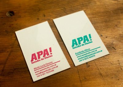 apa 01