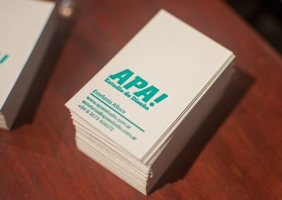 apa 02