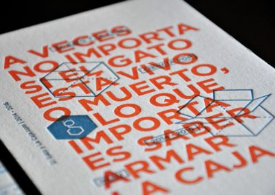 el gato y la caja 13