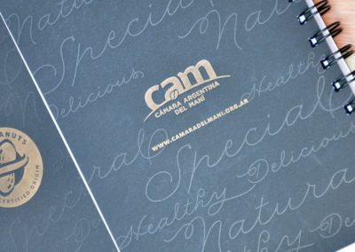 cam 02