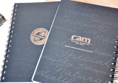 cam 07
