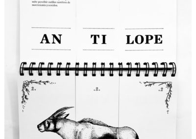 Monstruopedia