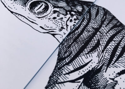 Monstruopedia