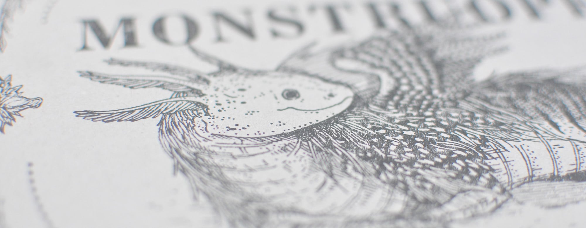 Monstruopedia 1 Monstruopedia header